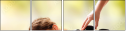 50689241