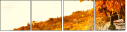 50713543