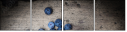 50752348