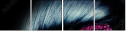 50869247