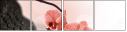 51143808