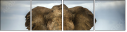 51170548