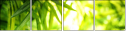 51188195