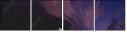 51192902