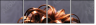 51430961