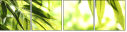 51529189