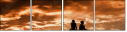 51576811