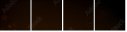 51623486