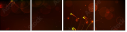 51624515