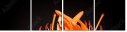 51668124