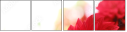 51697541