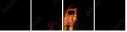 51795324
