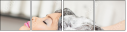 51886133