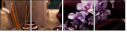 51904440