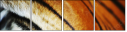51974402