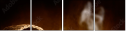 51978696