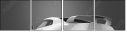 52445561