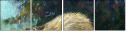 52717561