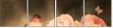 52744741