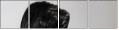 52842580