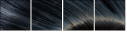52931906