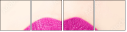53018063