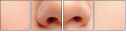 53021707