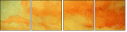 53049559