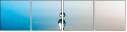 53058464