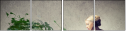 53061408