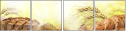 53110436