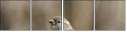 53162720