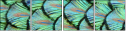 53512479