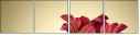 53620814