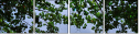 53658829