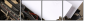 5370136
