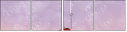 53719095