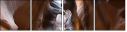 53751853
