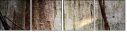 53836351