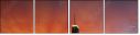 54324464