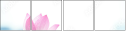 54351537