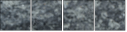 54405316