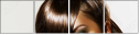 54408663
