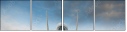 54500687