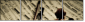54506799