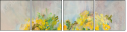 54527270