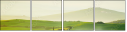 54529677
