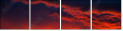 54554863