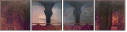 54772549
