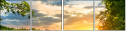 54835338
